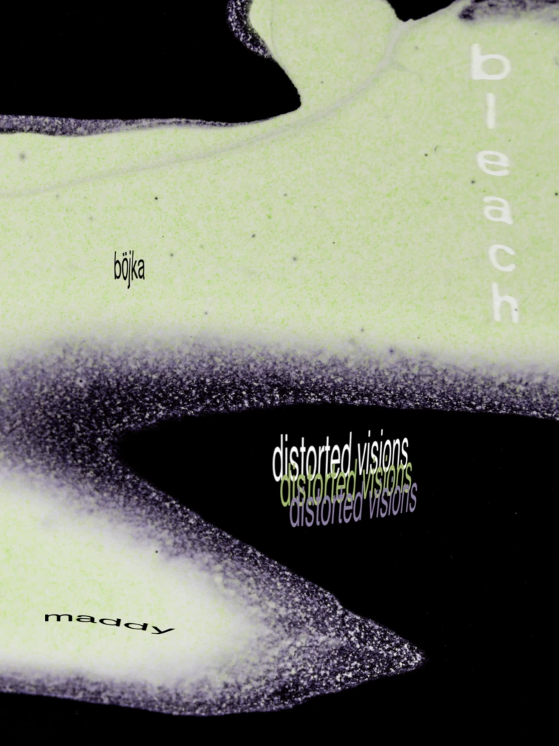 distorted visions³
